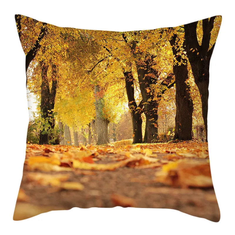 Hd11df66418814a7ea8d2da94e678bff9I.jpg?width=800&height=800&hash=1600