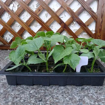 

24 Site Greenhouse Seedling Starter Tray Kit Plant Growing Box Seed Starter Box For Planting Seedlings Germination,