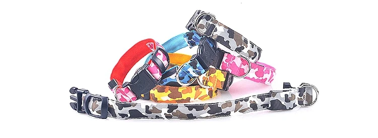 dog collar (15)
