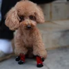 Pet Products