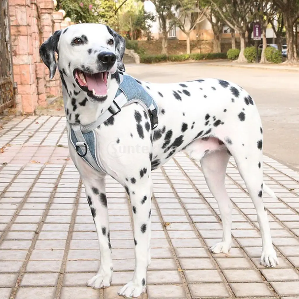 Dog Harness Vest Pet Traction Rope Pet Chest Strap Leashes S/M/L Size