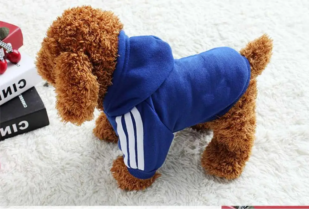Одежда для питомцев, собак, кошек, зимняя теплая хлопковая толстовка с капюшоном Adidog, пальто для щенка, котенка, свитер для маленьких собак, XS-XXL, спортивная одежда для собак - Цвет: Синий