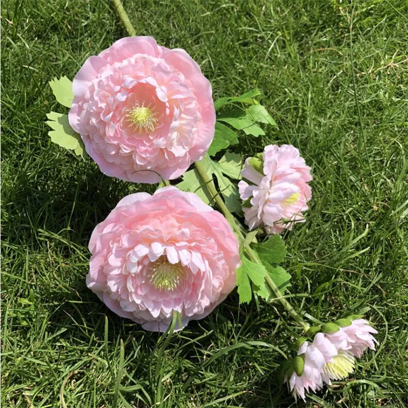 20 шт. поддельные длинные Стволовые Ranunculus 25," Длина моделирования Ranunculus Siaticus для дома Свадебные Декоративные искусственные цветы