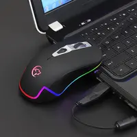 Computer Peripherals