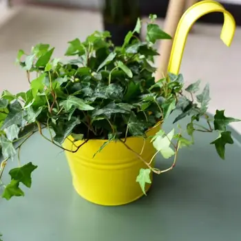 

New Removable Hanging Flower Pot Hooks Wall Pots Pail Holder Balcony Planter Iron Home Pots Garden Decor Flower Plant New L5P0