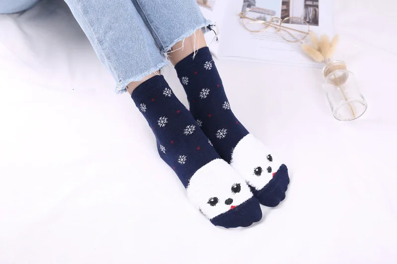 9176557270_903822819