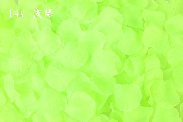 H5ead5a805d98423b9d501e20f66ae6249