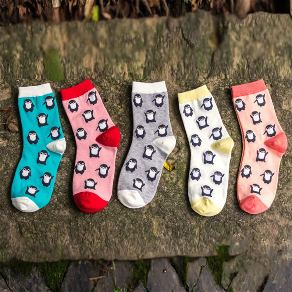 2471847910_1523979896