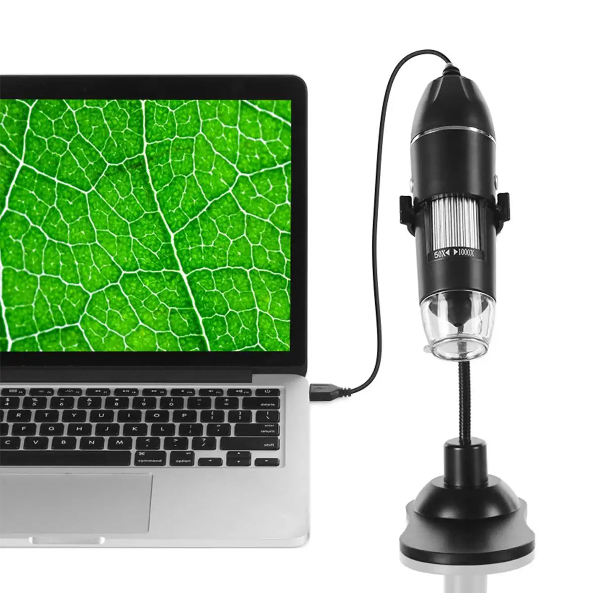1000X Portable 8 LED Light Adjustable Dimmer Practical HD Hand Held Microscope Real Time USB Type-c Digital Microscope 1920x1080