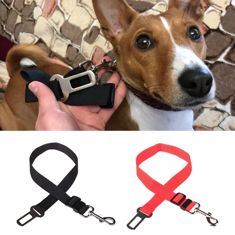 dog belts price