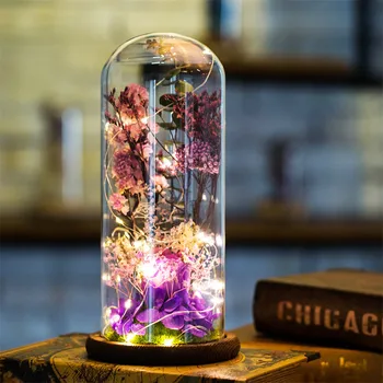 

Decorative Led Lights Valentine's Day Gift Rose Transparent Glass Cover Led Micro Landscape Home Decoration G3