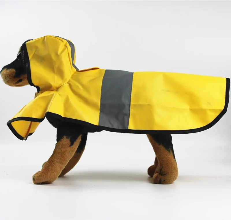 13636849915_238238974