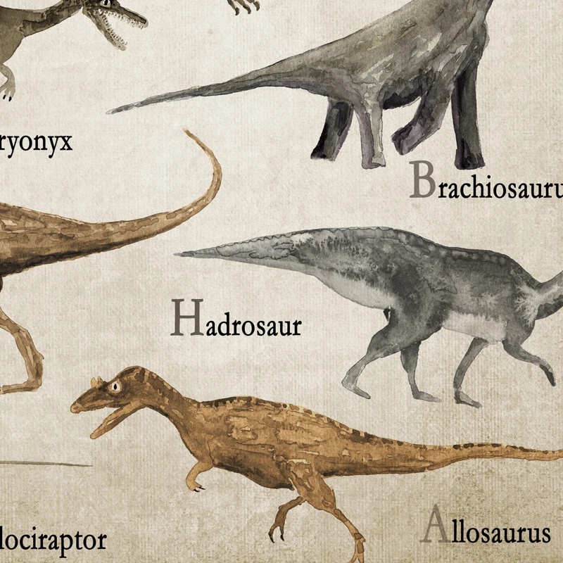 Dinosaur Species T-Rex Triceratops Dino Species Kids Poster for