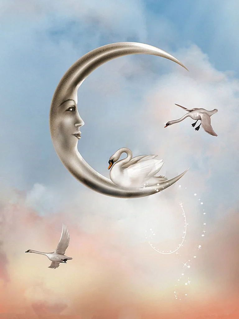 

SHUOZHIKE Vinyl Custom Photography Backdrops Prop Fairy Tale Scenery theme Photo Studio Background #161130-02