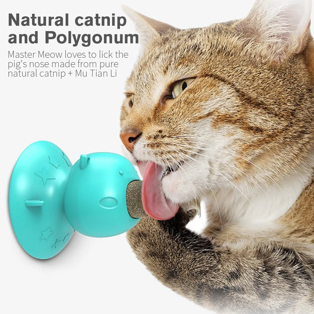Jouets Comestibles Pour Chaton Menthe Jouets Multifonctionnels Base A Ventouse Drole En Forme De Tete De Cochon Gratter Les Chatons Friandises Murales Pour Chat Aliexpress