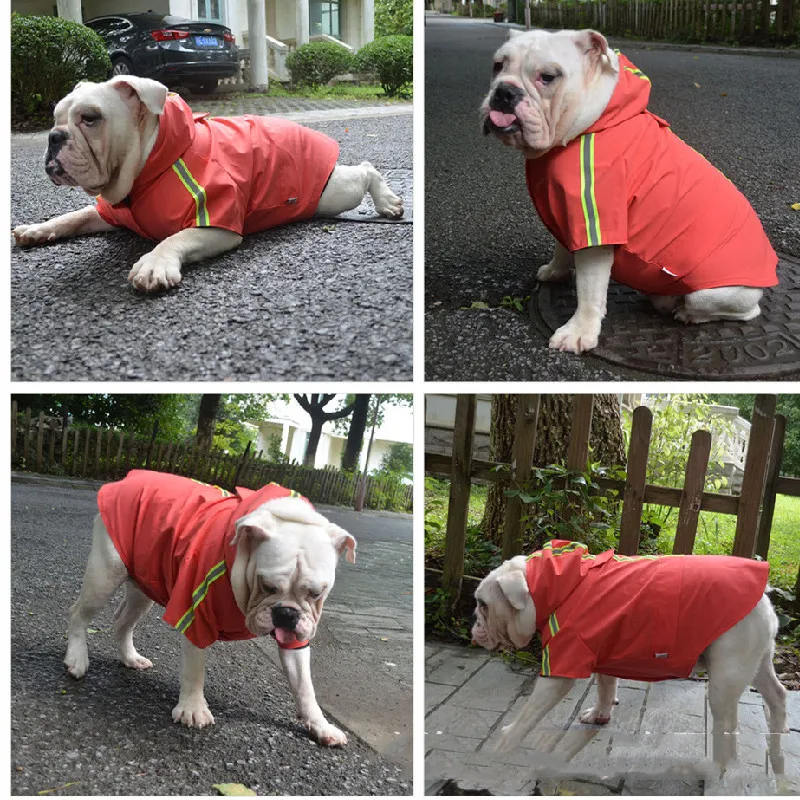 buldogue francês capa de chuva pug roupas para cães inglês bulldog pit bull terrier americano bully pitbull roupas casaco prova dwaterproof água roupa