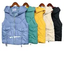 Элегантная женская одежда для студентов, короткий рост, корейский стиль, короткая, длинный рукав, с капюшоном, свободная, женская, с хлопковой подкладкой, Cl