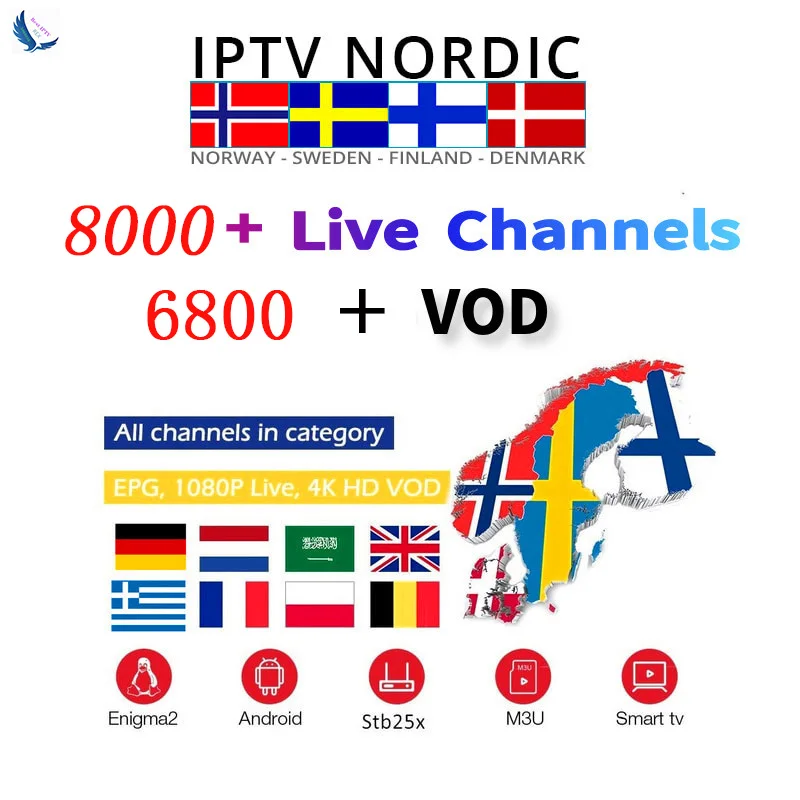 Голландский IPTV/Европейский IPTV 1 год подписки для Италии Великобритании Германии Французский Испанский Бельгия Mediaset Премиум для M3u Android