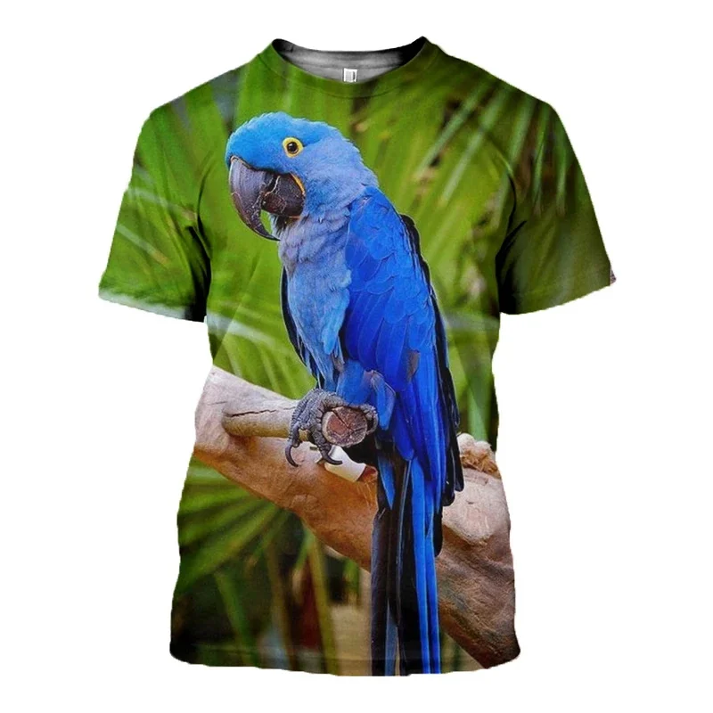 D_c_Macaw_3D_DT140803_T_shirt_800x