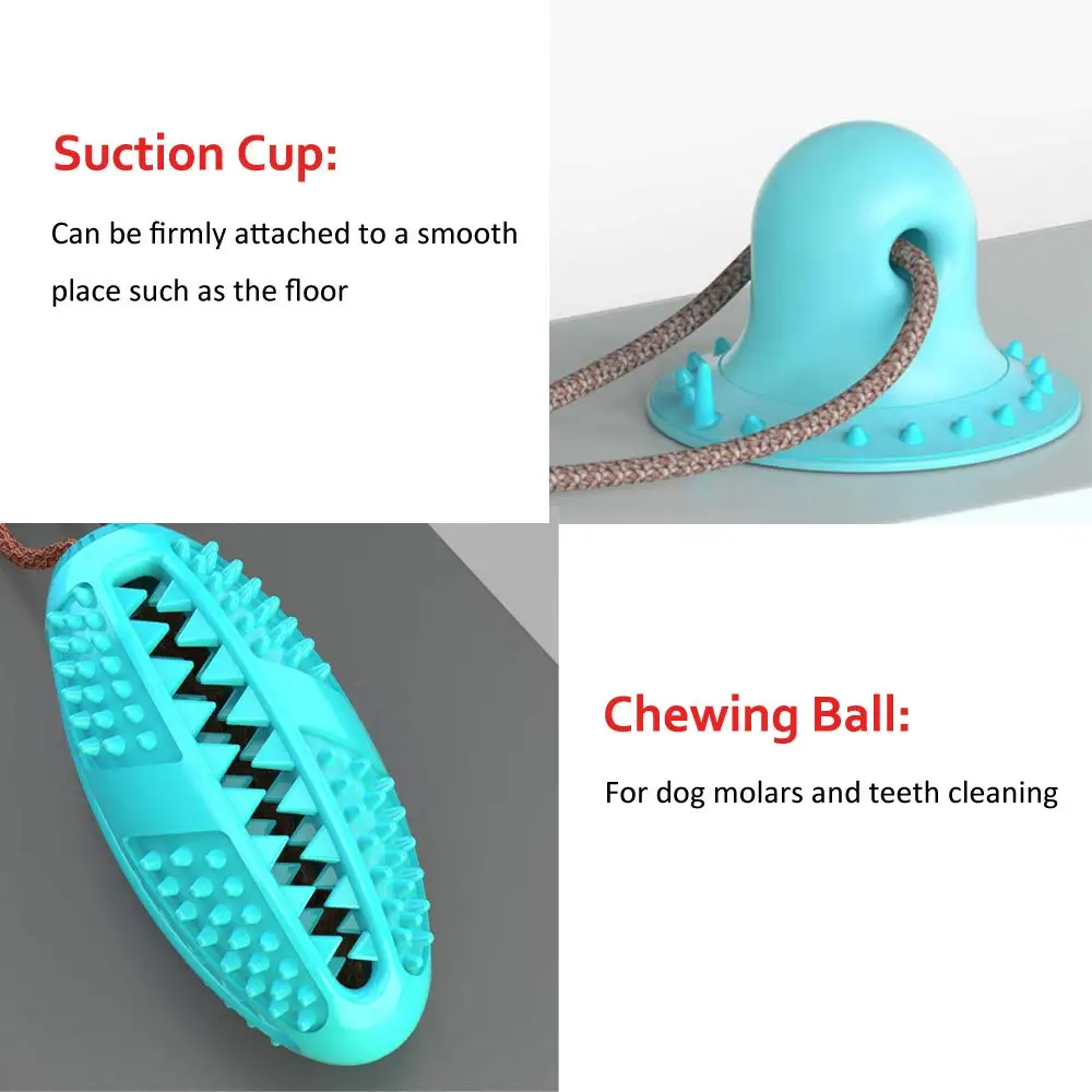 Deals ✨ Mia's Pet Supply 🐕 Dog Toys Tug 🐕 Dog Toy With Suction Cup Push Elastic Ropes 😀 38 Deals ✨ Mia's Pet Supply 🐕 Dog Toys Tug 🐕 Dog Toy With Suction Cup Push Elastic Ropes 😀 -Cheap Mia's Pet Supply Store Hd1496ff0ae084d8ab8e52971254783faq
