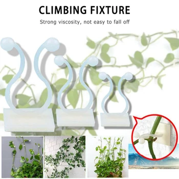 

100PCS Invisible Plant Climbing Wall Sticky Hook Vines Fixing Clips Fixture Vine Plant Fixer Home Balcony Garden Decoration Hold