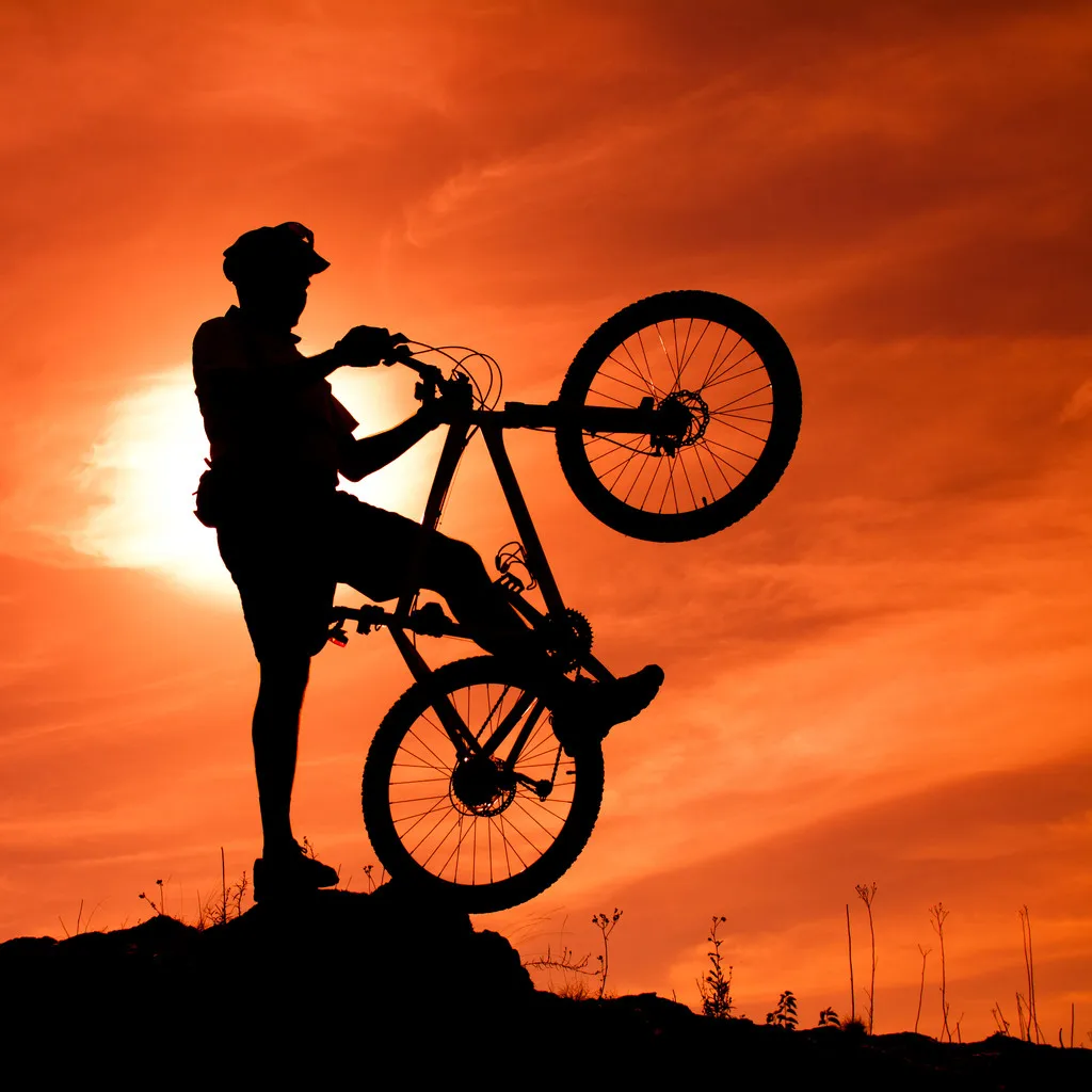 preference cycling Store