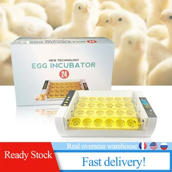 

24 Eggs Large Capacity Mini Incubator For Chicken Poultry Quail Turkey Eggs Home Use Automatic Egg Turning incubado