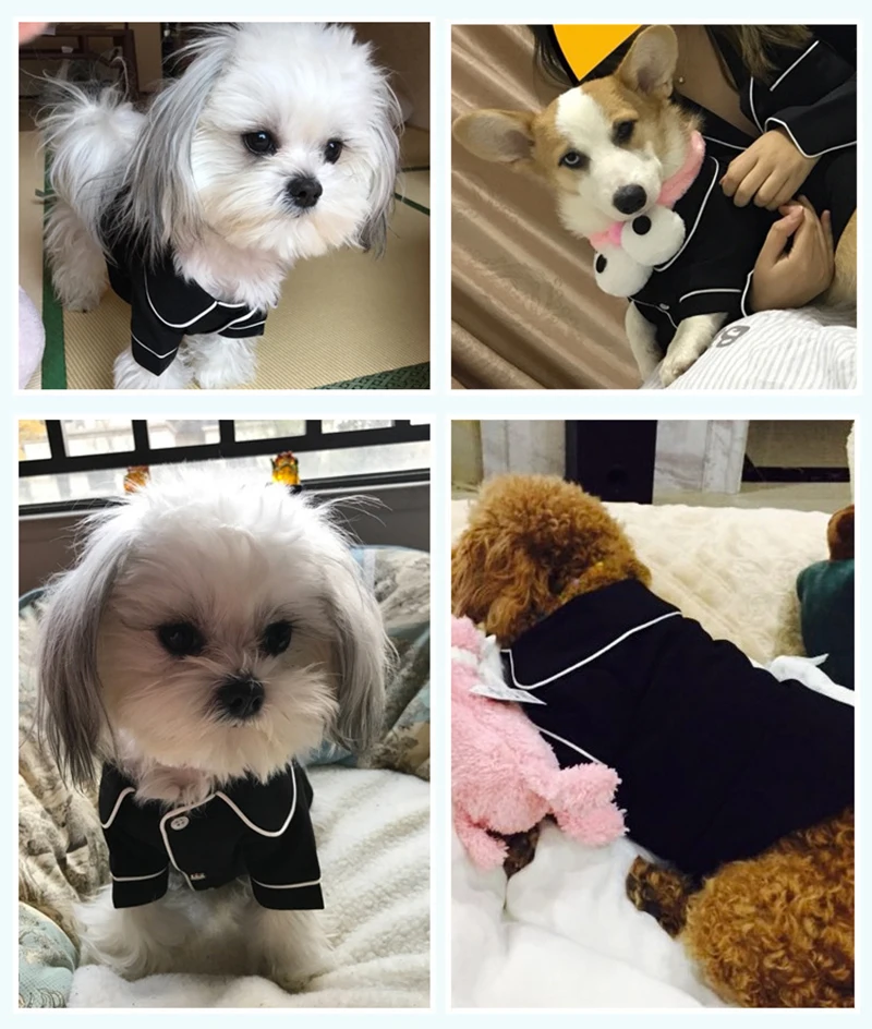 9162195872_937617814