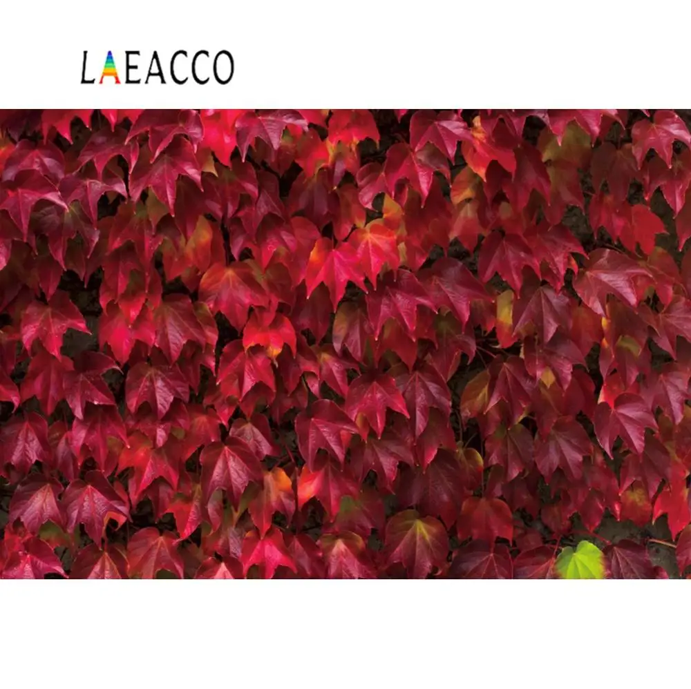 

Laeacco Autumn Maple Leaves Tree Birthday Wedding Party Decor Scenic Photo Backgrounds Photographic Backdrop Photo Studio