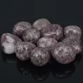 Image 22