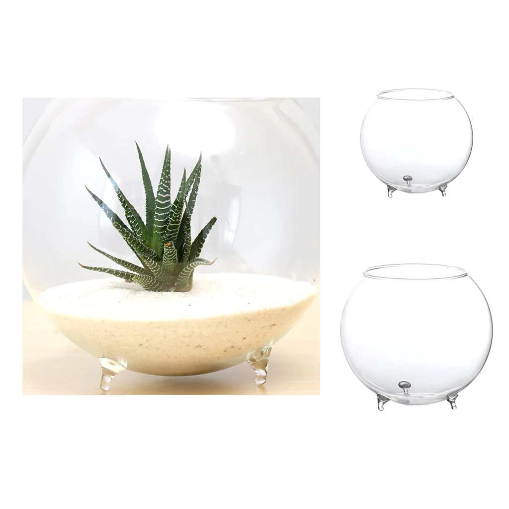 Прозрачный стеклянный цветок гидропонная ваза микро DIY Ландшафтный Террариум бутылка