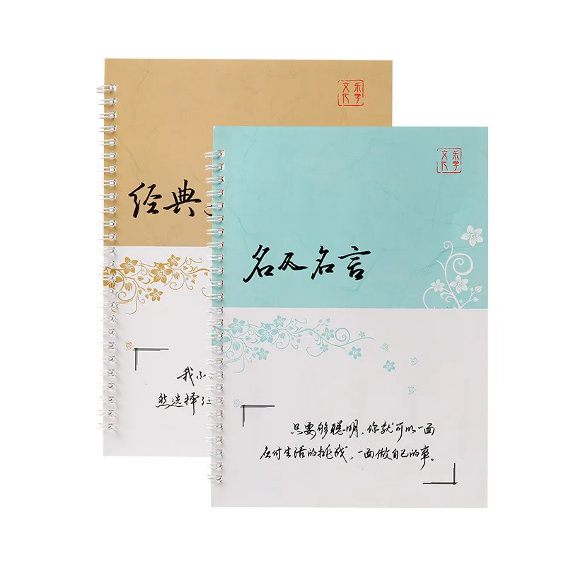 2PCS/Set 3D Reusable Groove Calligraphy Copybook Erasable Pen Learn Chinese Characters Kids Chinese Writing Books Freeshipping