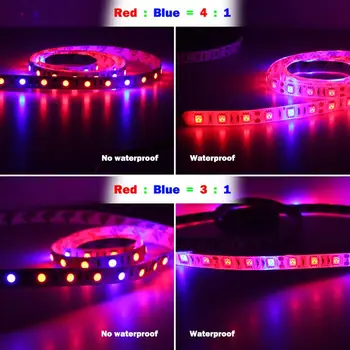 

5m Full Spectrum Plant Growth LED Strip Light 5050 Chip LED Grow Lamps For Greenhouse Hydroponic Plant Q0KF
