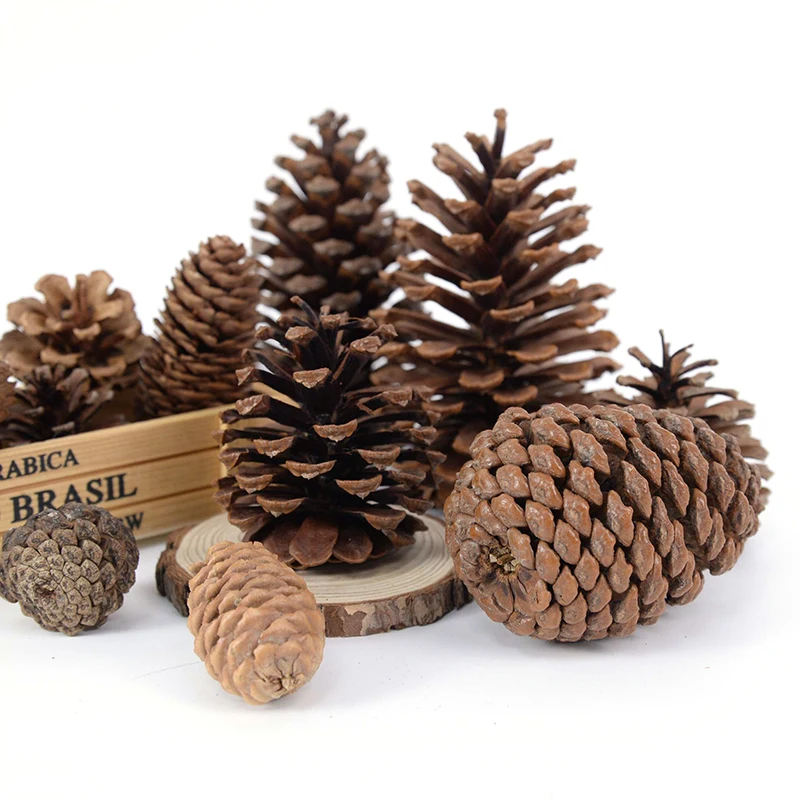 1-10pcs Natural Pine Nuts Fruit Dried Artificial Flower Pineapple Cones for Christmas DIY Garland Wreath Wedding Home Decoration
