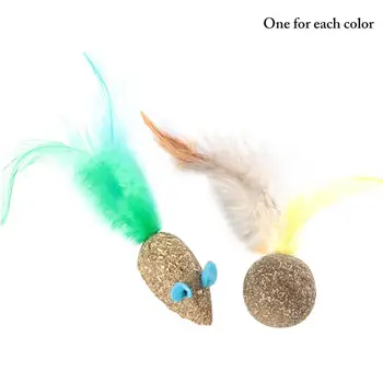 

2Pcs Funny Catnip Toys Cute Fake Feather Decor Cat Mouse Shape Toy Cat Interactive Pet Supplies Cat Favors
