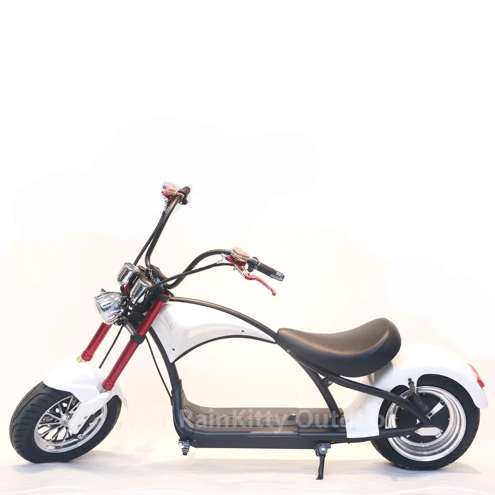 

2000W EEC citycoco electric scooter bike 20AH lithium battery removable M1