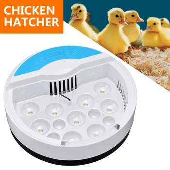 

9 Eggs Incubator ABS Digital Temperature Farm Hatchery Machine For Farm Chicken Quail Brooder Egg Incubator