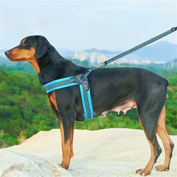 

No Pull Reflective Dog Harness Leash Set Pet Vest Lead For Small Meduim Large Dogs Perfect for Daily Training Walking Cheap