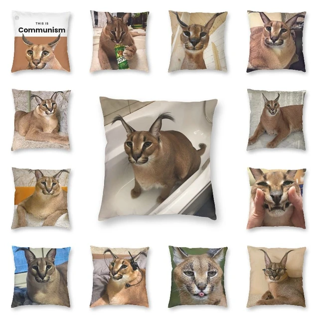 Grande floppa caracal gato bonito meme cobertor macio velo coral