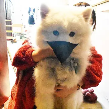 

GloryStar 5pcs/set PM2.5 Dog Mask Breathable Non-woven Fabric Anti-Dust Filter Gas Pollution Anti-fog Haze Muzzle