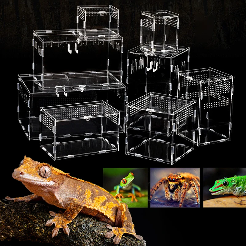 Acrylic Reptile Easy DIY Terrarium Box