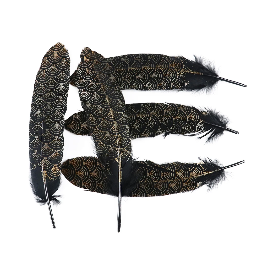 5 (2)