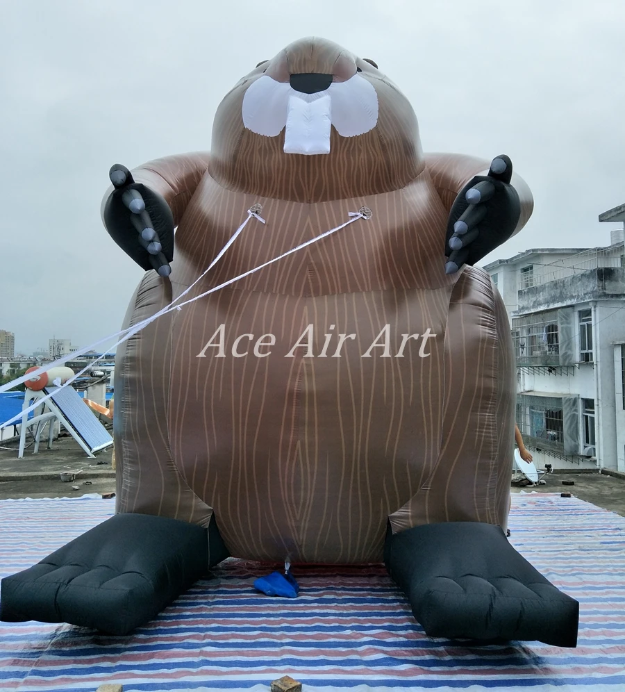 HTB1tmeCjdnJ8KJjSszdq6yxuFXak