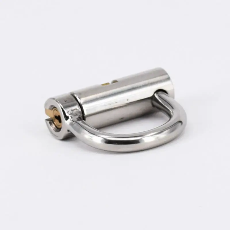 Koop Roestvrij Staal Titanium D Ring PA Lock Eikel Piercing Mannelijke Kuisheidsgordel Penis Harnas Terughoudendheid Riemen Fitting, PA Punctie