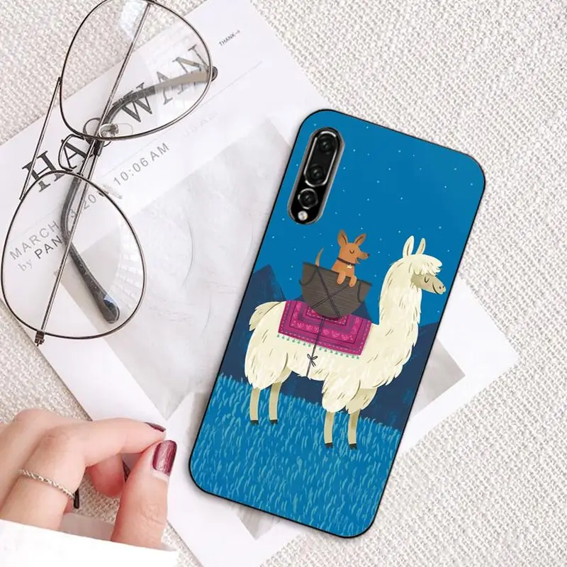 Cartoon Lama Llama Alpacas Animal
