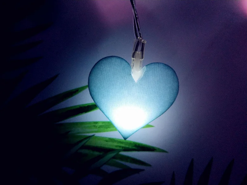 8040342074_171548661