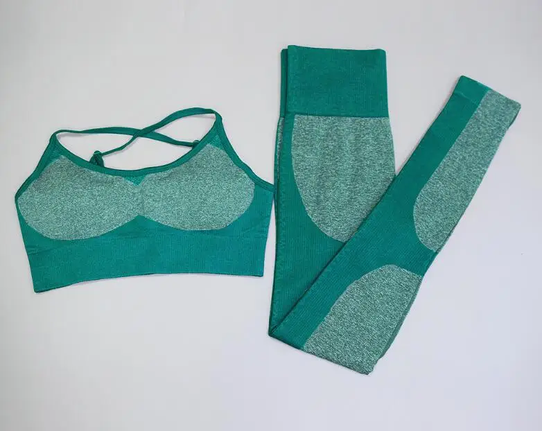TZ1976-green Гимнастический комплект, 2 предмета наборы тренировки одежда Для женщин спортивный бюстгальтер+ Бесшовные Йога Спортивные штаны, легинсы Для женщин набор для тренажерного зала Костюмы для спортивной Йоги Набор - Цвет: TZ1976-green