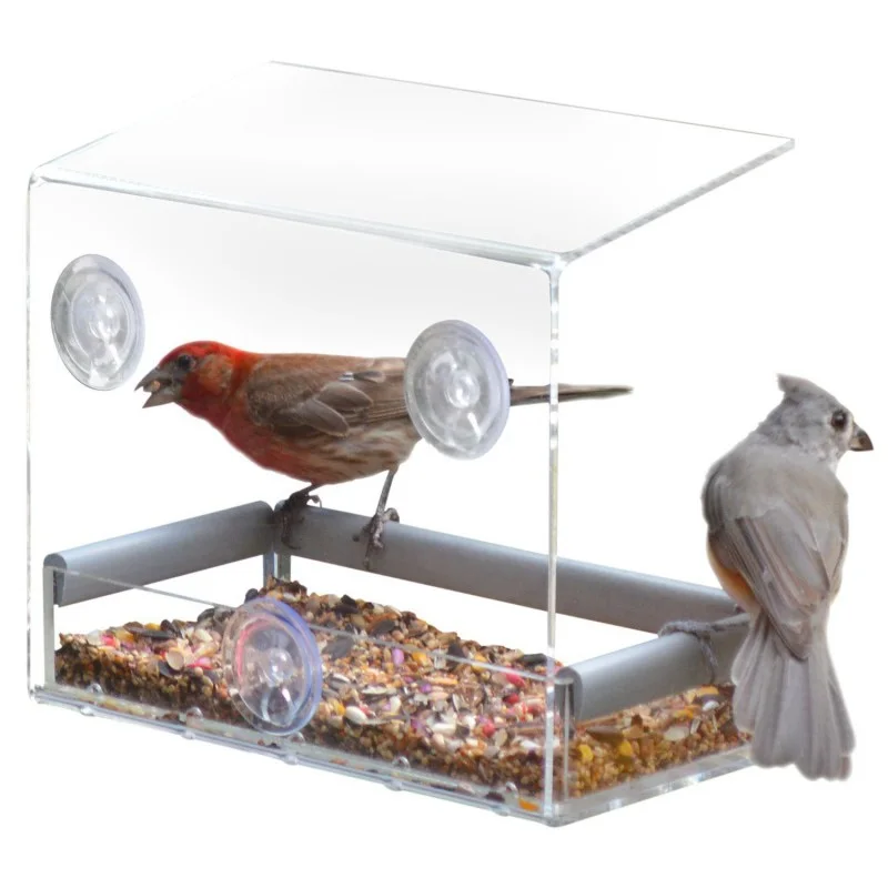 2020 Creative Pet Bird Feeder Window Clear Squirrel Proof Bird Feeders Birdhouse Window Transparent Squirrel Plastic 2 Styles