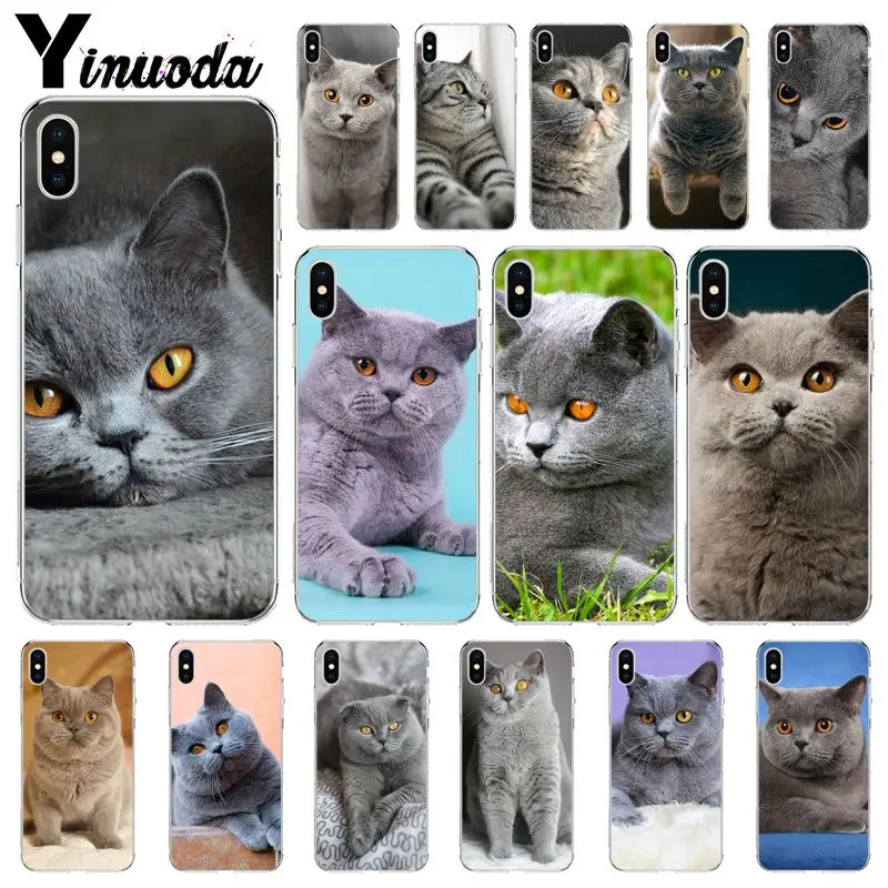 Yinuoda British Shorthair cat Novelty Fundas Phone Case Cover for Apple iPhone 8 7 6 6S Plus X XS MAX 5 5S SE XR Cover