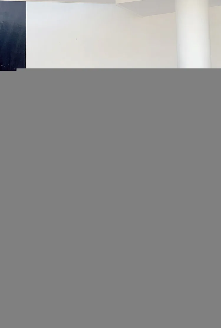 Леопардовые женские ботильоны с острым носком на массивном каблуке из крокодиловой кожи; Полусапоги на высоком каблуке для отдыха; ботильоны для женщин; JXQ